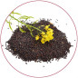 Graines de colza 250 gr